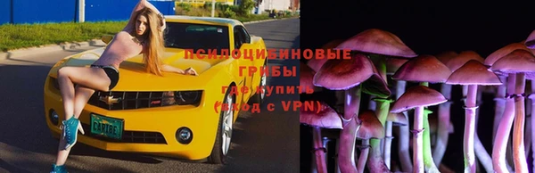молекула духа Козловка