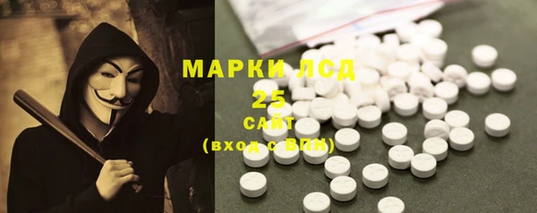молекула духа Козловка