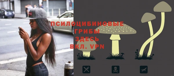 молекула духа Козловка