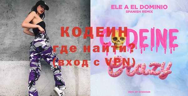 молекула духа Козловка