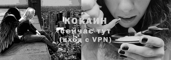 соль курить ск Кодинск